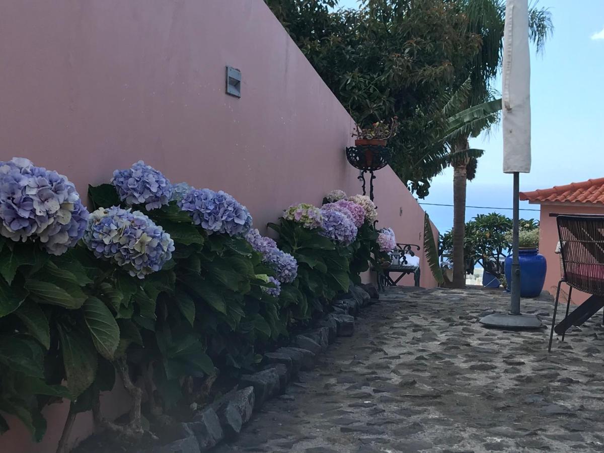 Casa Do Poco Funchal Daire Dış mekan fotoğraf