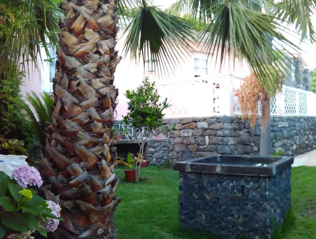 Casa Do Poco Funchal Daire Dış mekan fotoğraf
