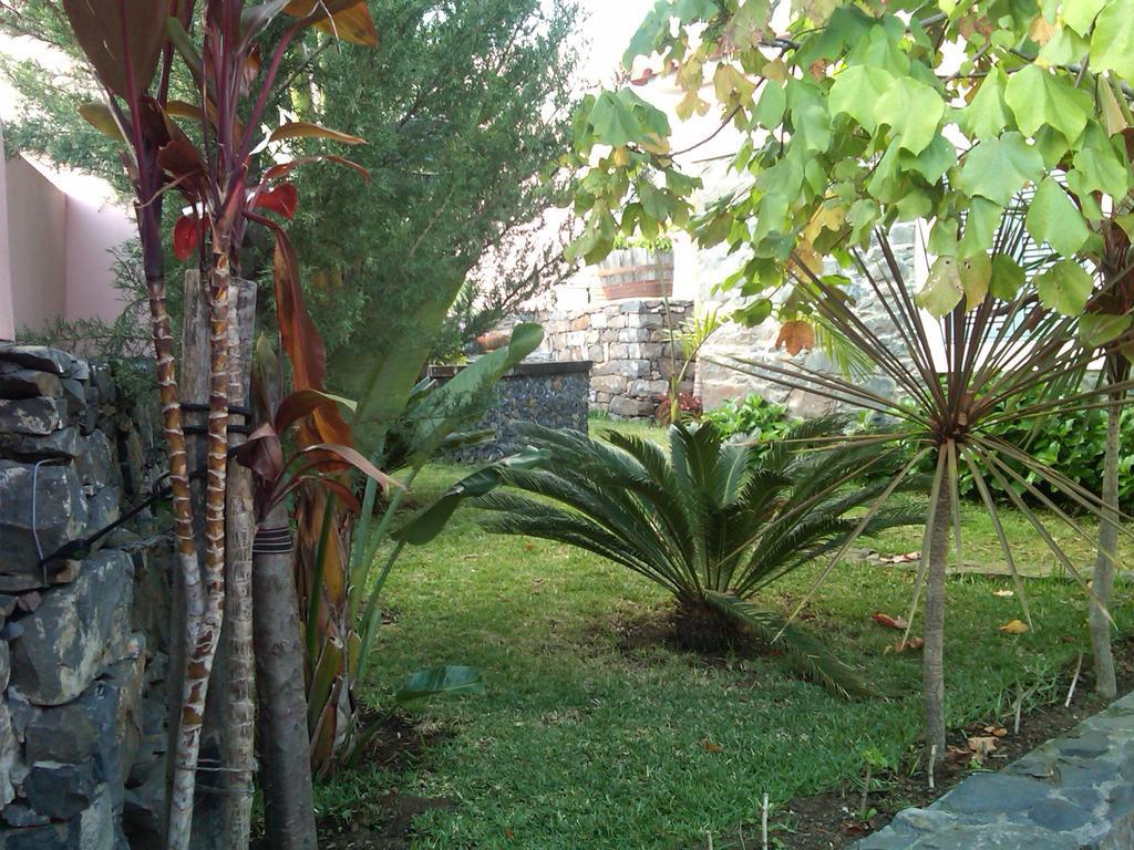Casa Do Poco Funchal Daire Dış mekan fotoğraf